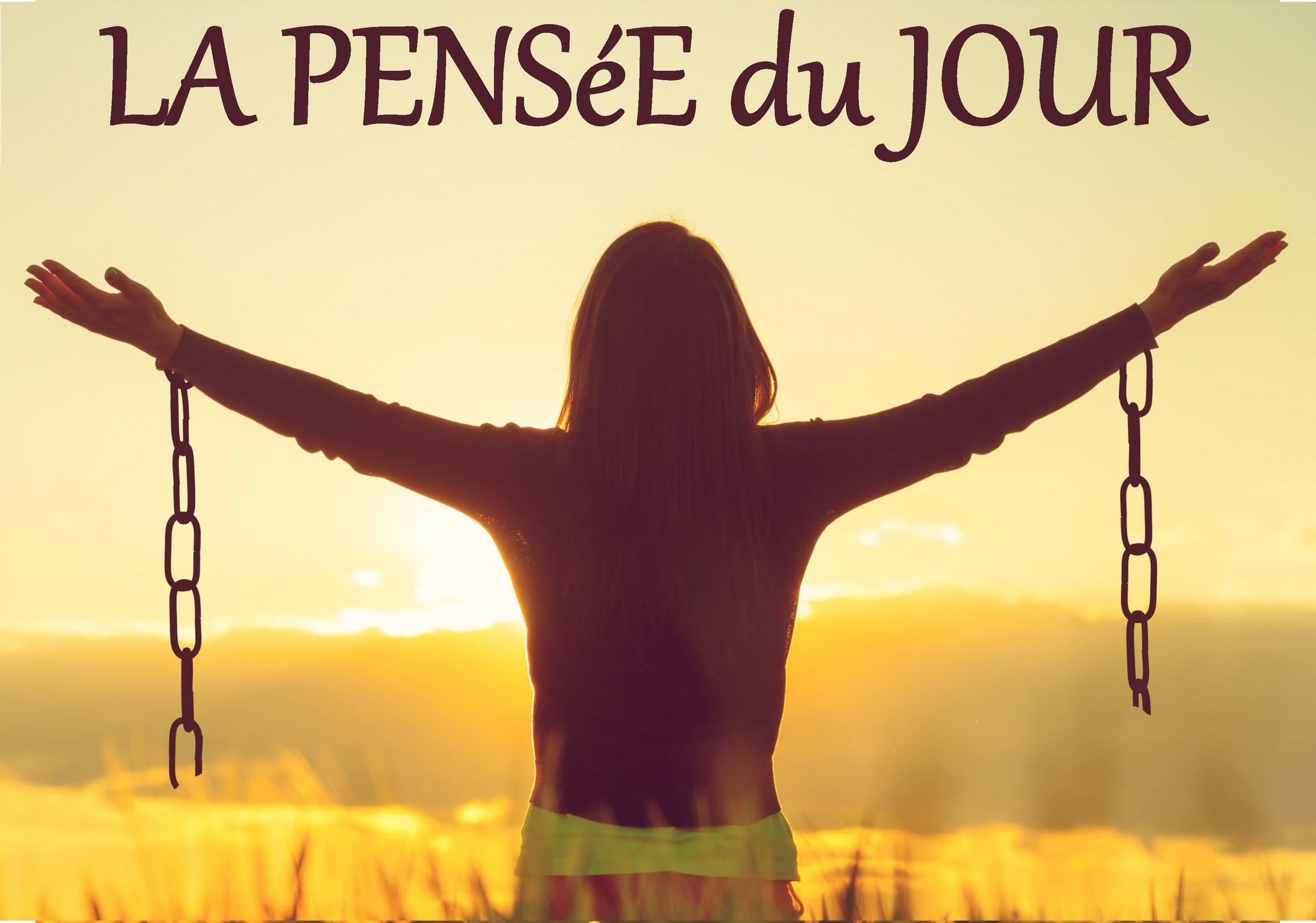 Le Livre de sagesse de Jean-Luc ROBERT